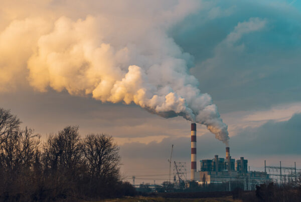 Descarbonización Industrial con el Plan PERTE