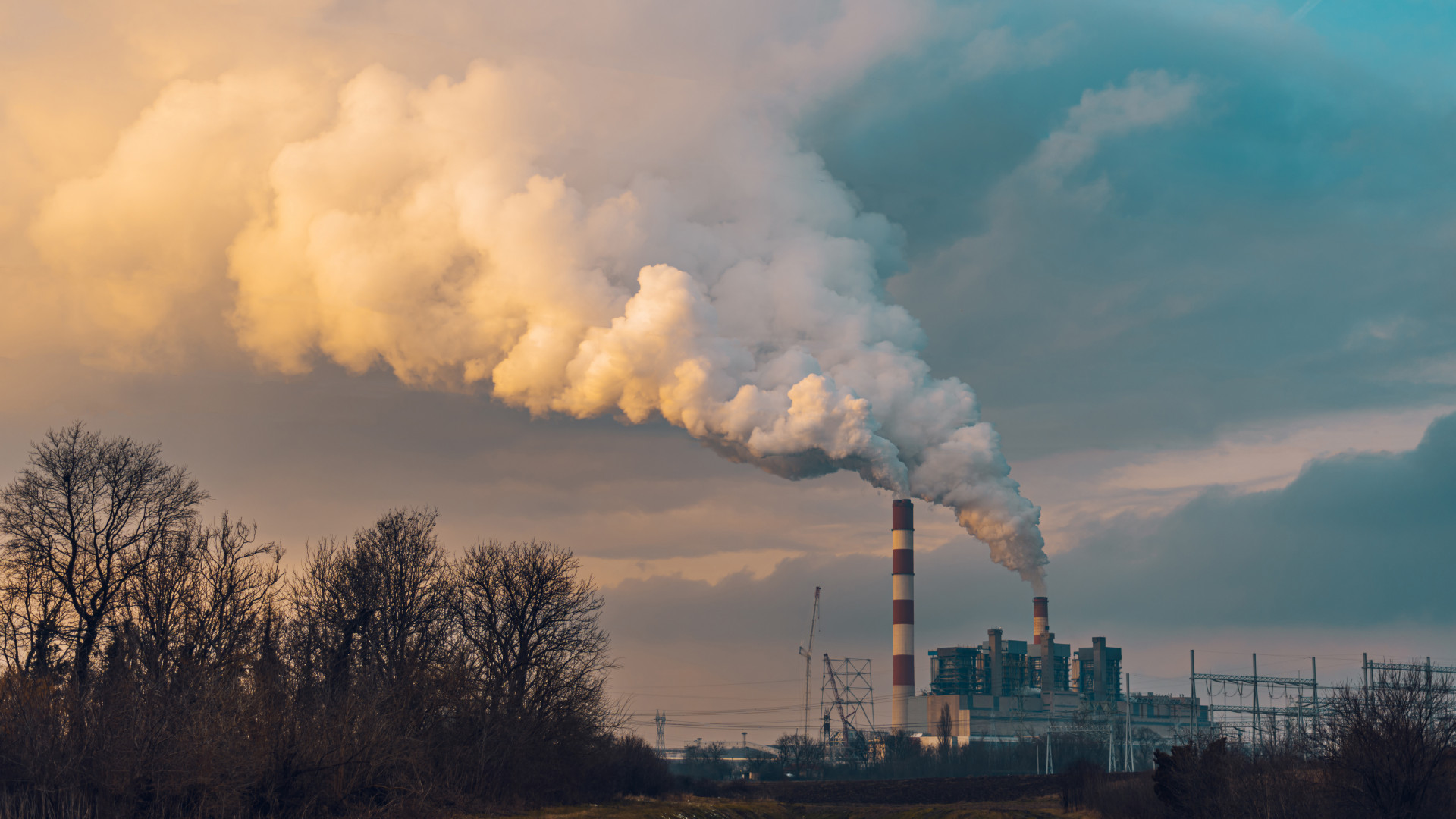 Descarbonización Industrial con el Plan PERTE: Anukys tu aliado en la Transición Ecológica
