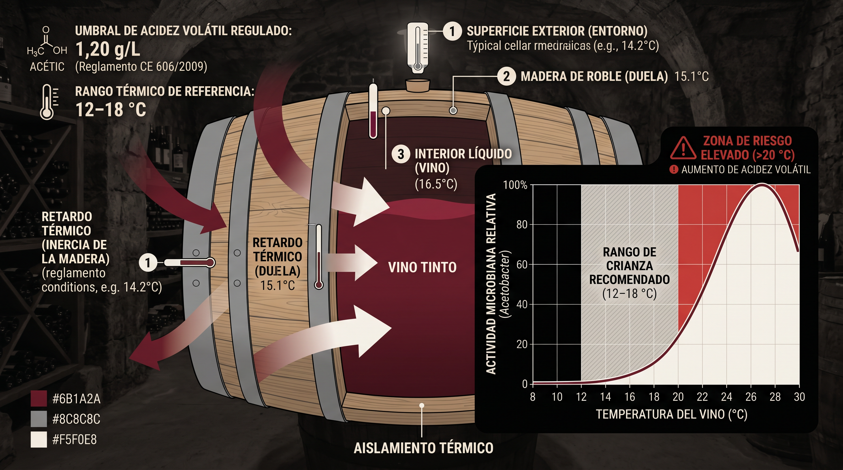 Infografía de sección transversal de barrica de roble con la curva de actividad de Acetobacter frente a la temperatura, rango de crianza 12-18 C y zona de riesgo a partir de 20 C